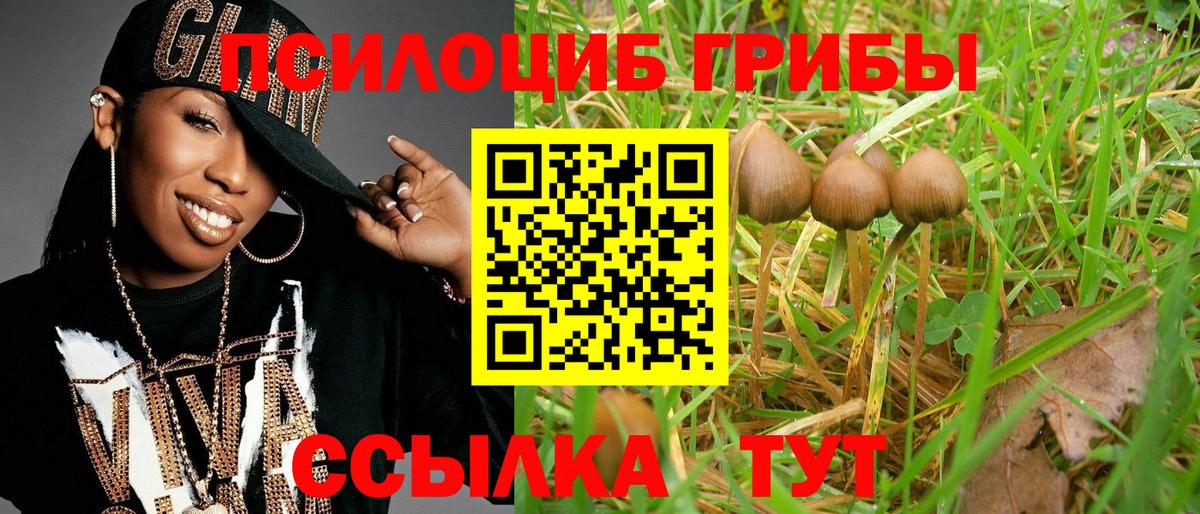 Славгород  Псилоцибиновые грибы прущие грибы  цена   Вход с VPN 