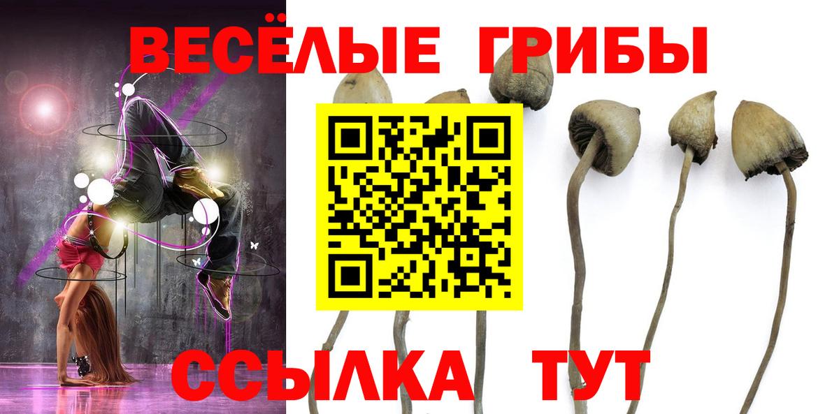 Псилоцибиновые грибы MAGIC MUSHROOMS Славгород